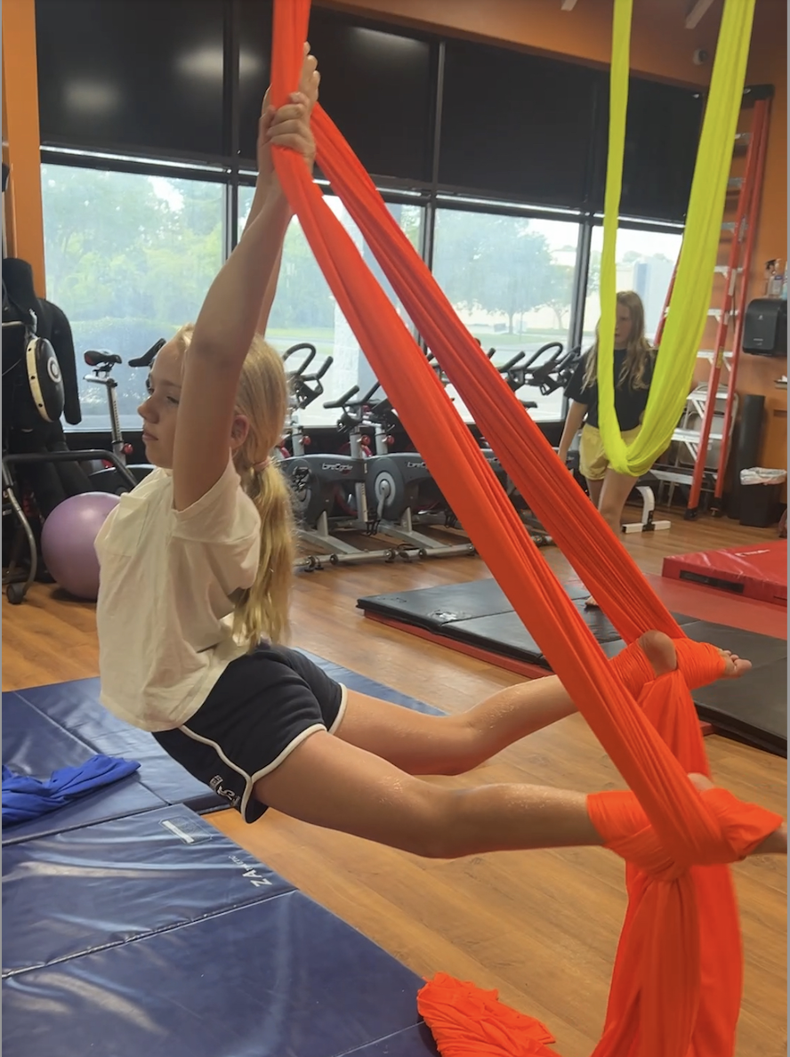 Silks